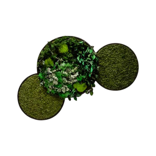 greenmood-gcircles-akoestiekspecialist Een afbeelding van een akoestische wandpaneel op Akoestiekspecialist genaamd Greenmood G-Circles.