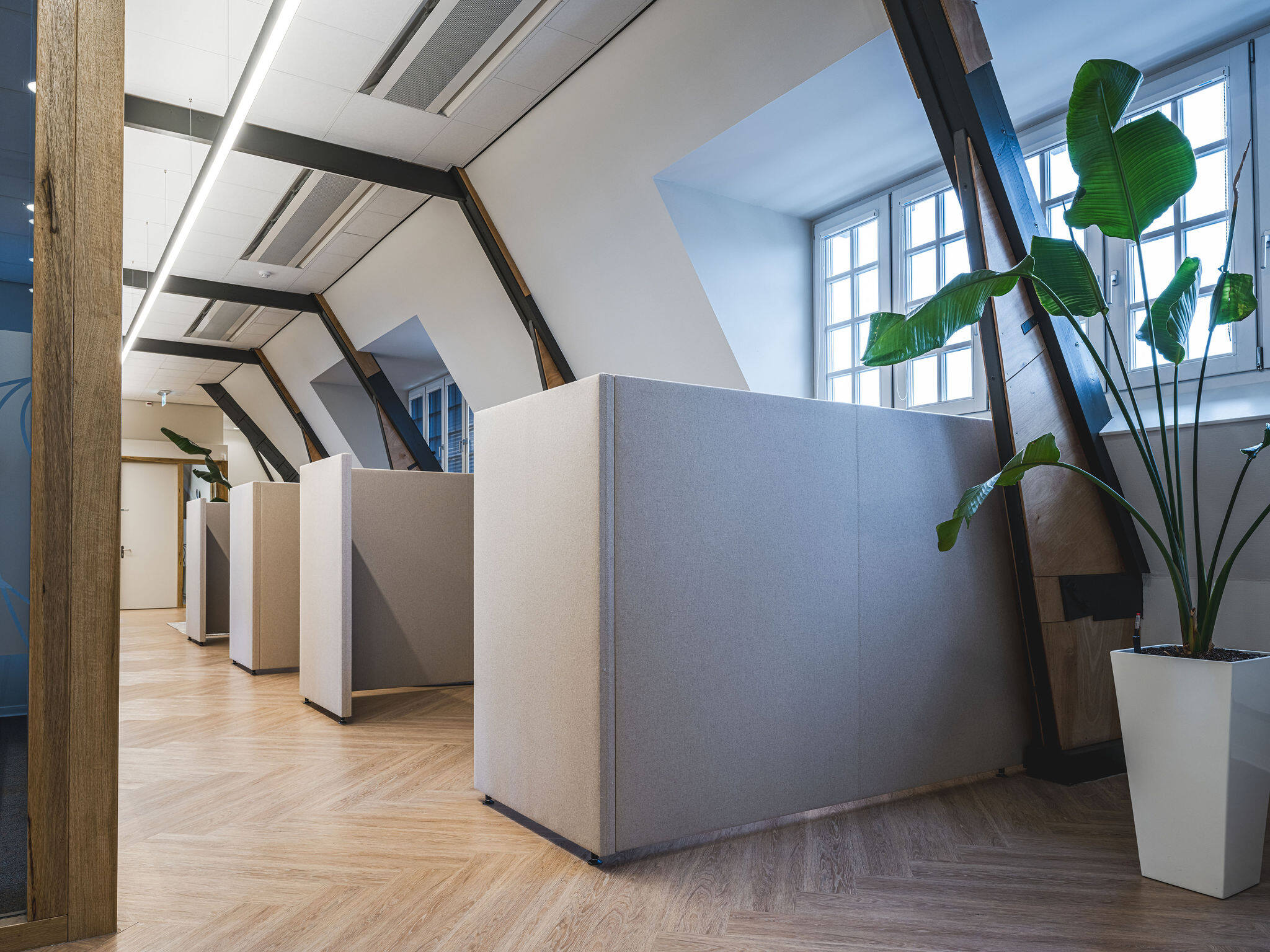 Akoestische werkplekken bij Innovo met bureauschermen van Akoestiekspecialist, ontworpen voor meer focus, rust en comfort in open kantoorruimtes.