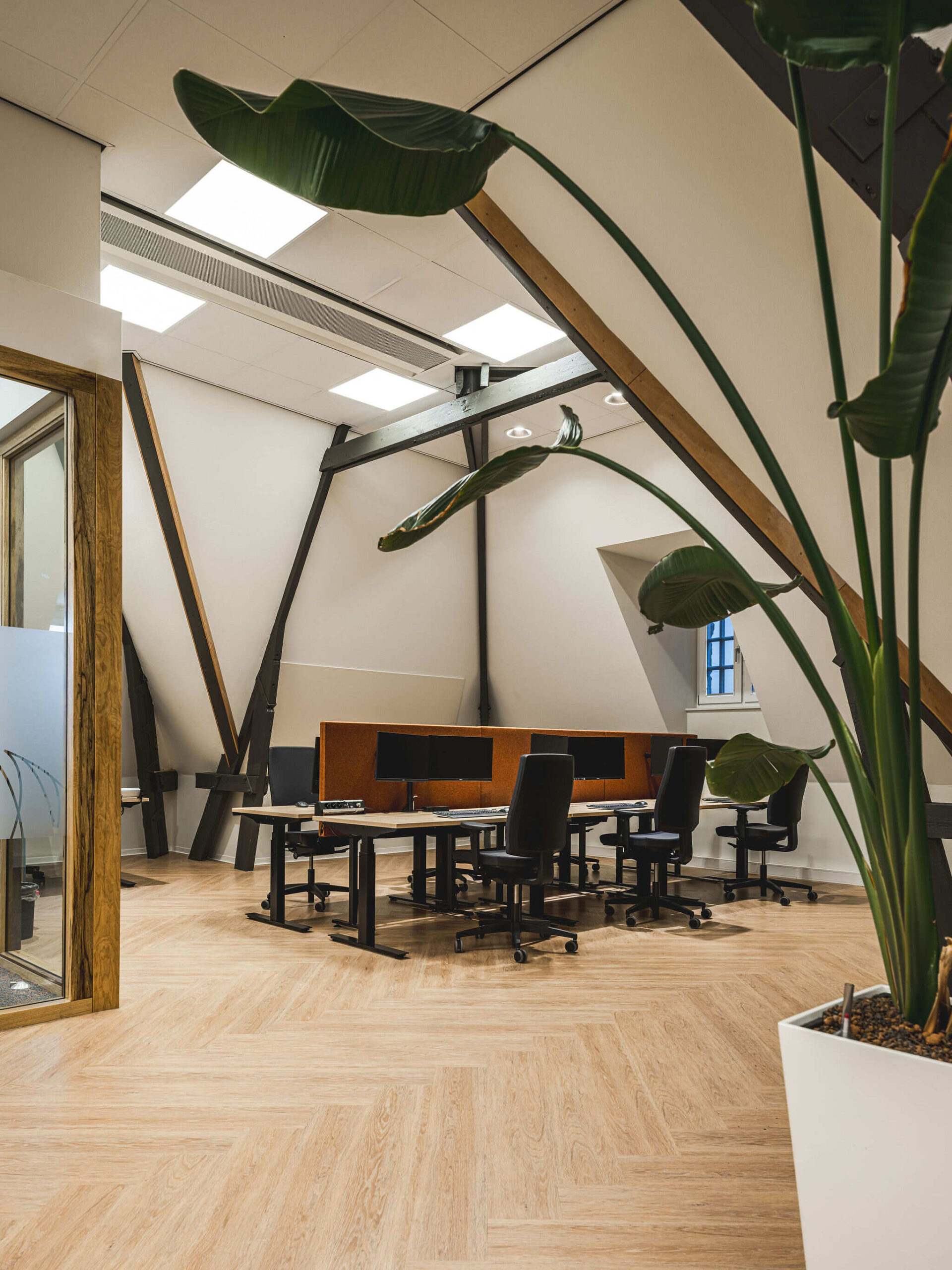 Akoestische werkplekken bij Innovo met bureauschermen van Akoestiekspecialist, ontworpen voor meer focus, rust en comfort in open kantoorruimtes.